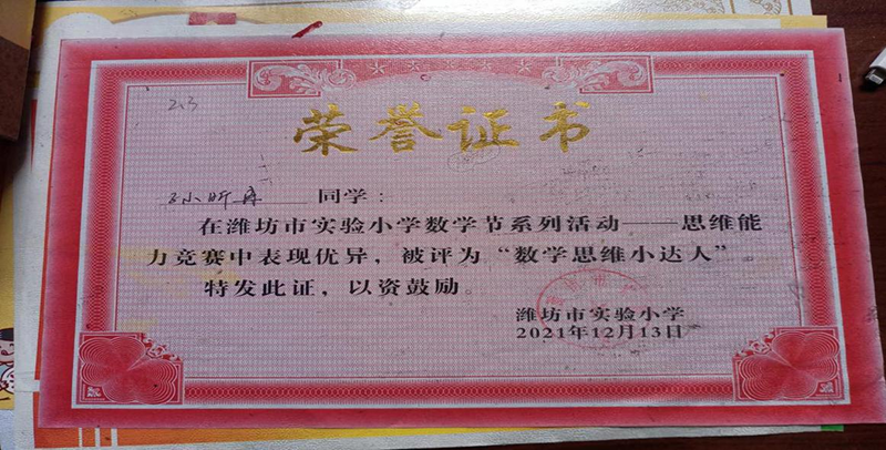 山(shān)東濰坊華府一品跨世紀幼兒園：優秀畢業生小(xiǎo)學(xué)有(yǒu)趣童行